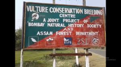 Where Is India's Only Vulture Conservation Breeding Centre In Northeast India Located? illustration