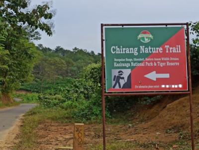 What Are The Best Trekking Places In Assam And Which Trails Are Suitable For Beginners And Expert Trekkers? illustration