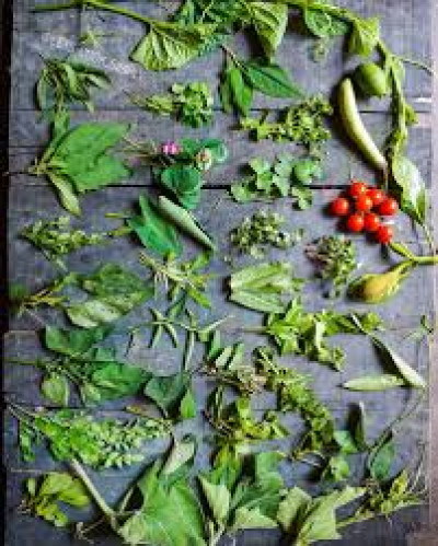 What Is 101 Xaak Or Haak Axxo Ek Bidh Xaak (hundred And One In Assam? Significance In Goru Bihu And List Of Assamese Leafy Greens