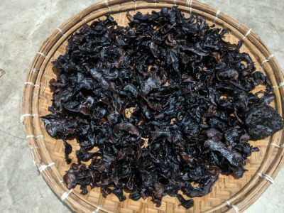What Is Thekera Tenga In Assam? Health Benefits And Traditional Assamese Cooking Methods