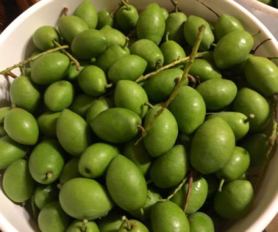 What Is Belfoi Or Jalpai In Assam? Health Benefits And Nutritional Value Explained