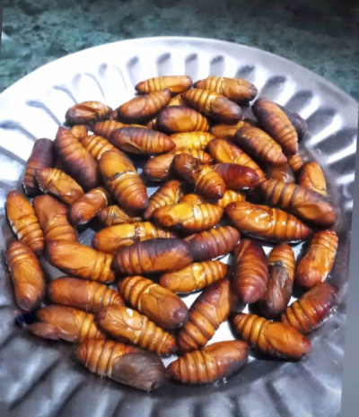 Is Muga Leta (silkworm) Eaten As A Traditional Dish In Assam?