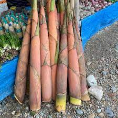 What Is Bah Gaj Or Bamboo Shoots In Assam And Why Is It An Important Ingredient In Assamese Cuisine?