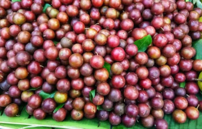 What Is Poniol Fruit In Assam?