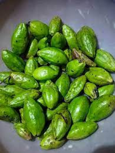 What Is Silikha (haritaki) In Assam And What Are Its Traditional Health Benefits?