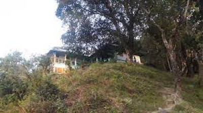 How To Book Mathanguri Forest Lodge At Manas National Park?