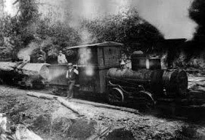 When Was The First Coal Discovered In Assam And Who Discovered It?