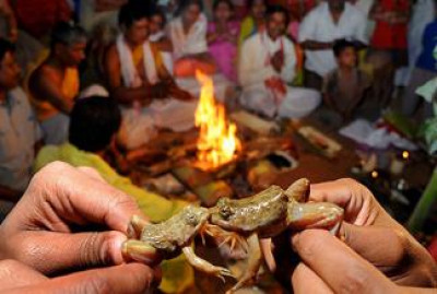 What Is The Cultural Belief And Significance Of Bhekuli Biya In Assam?