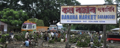 Which Is Asia’s Largest Banana Market In Assam?