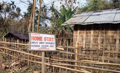 What Is The Best Time To Visit Kaziranga National Park And Budget Stay Options At Kaziranga? - General Knowledge of Assam