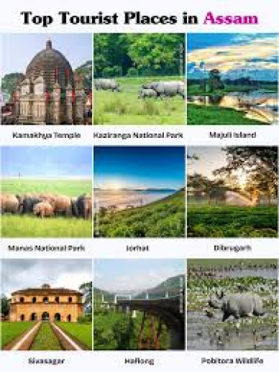 Which Are The Most Beautiful And Must-visit Tourist Places In Assam For Travelers Seeking Nature, Culture, And History? - General Knowledge of Assam