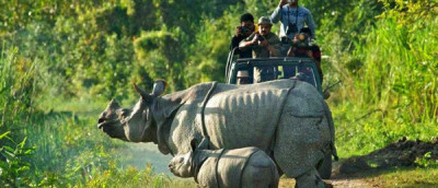 Which Is Better To Visit In Assam – Kaziranga National Park Or Manas National Park? - General Knowledge of Assam