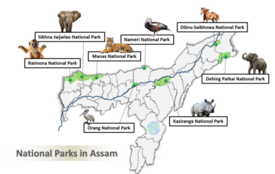 How Many National Parks Are In Assam? - General Knowledge of Assam