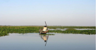 What Is The Wetland Rejuvenation Project In Assam? illustration