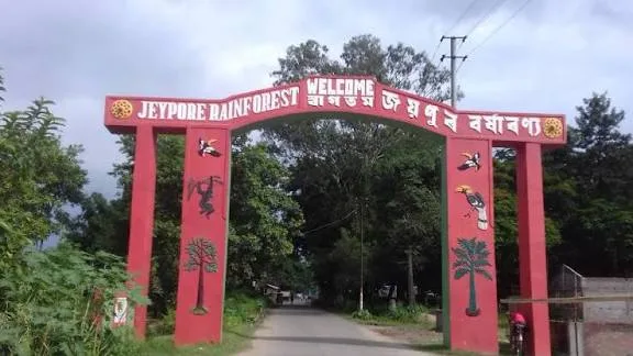 Jeypore Rainforest, Dibrugarh