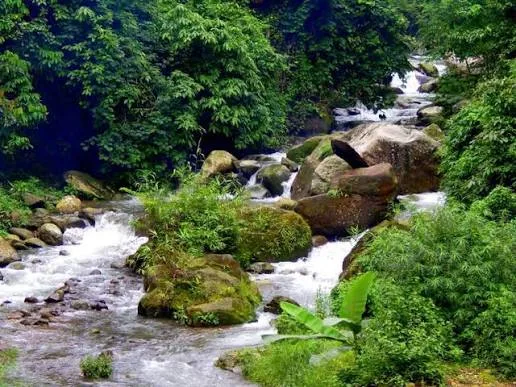 Jatinga Waterfall, Dima Hasao