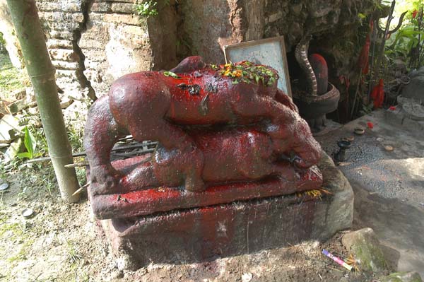 Ballilecha Shree Shree Kali Devalaya, Nalbari