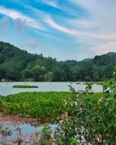 Khamrenga Beel Chandrapur Photo