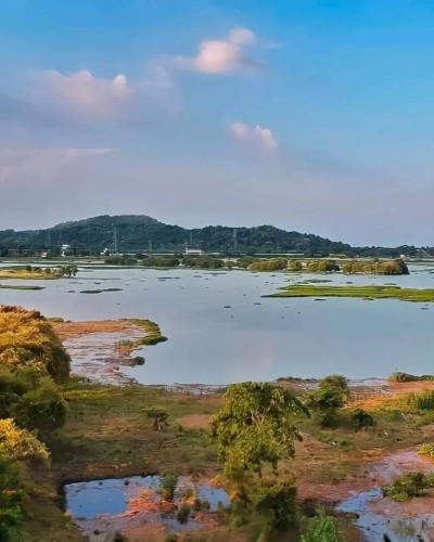 Khamrenga Beel Chandrapur Photo