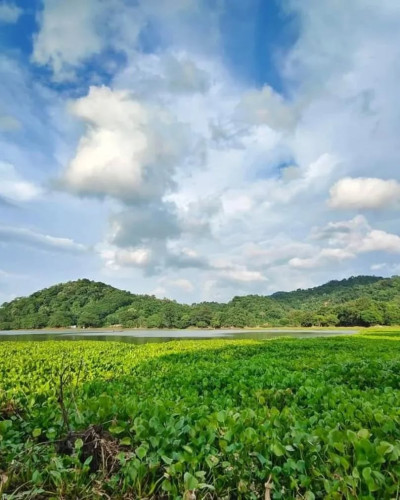 Khamrenga Beel Chandrapur Photo