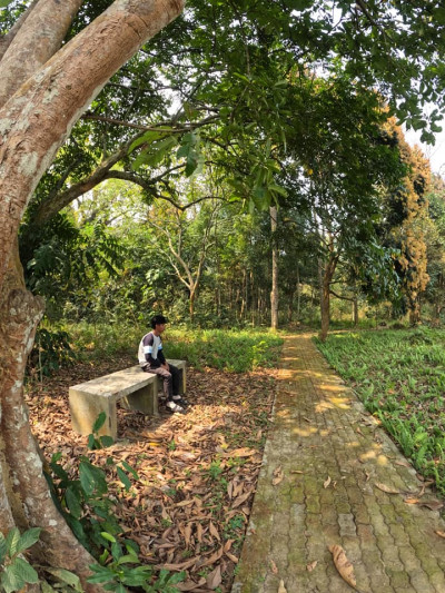 Jokai Reserve Forest, Dibrugarh Photo