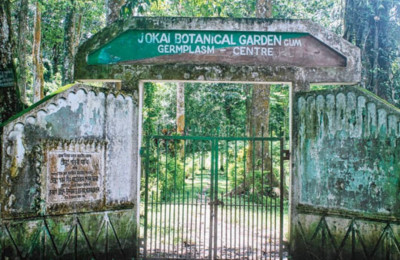 Jokai Reserve Forest, Dibrugarh Photo