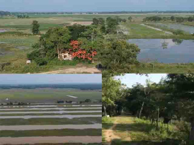 Pohugarh, Sivasagar Photo