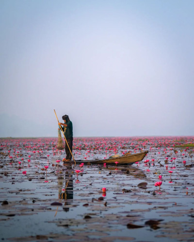 Urpad Beel Goalpara Photo
