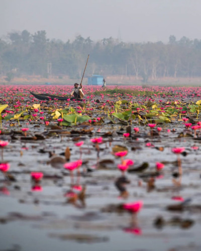 Urpad Beel Goalpara Photo
