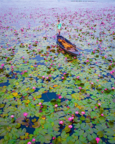 Urpad Beel Goalpara Photo