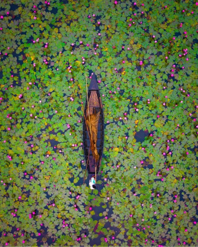 Urpad Beel Goalpara Photo