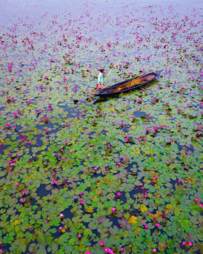 Urpad Beel Goalpara Photo