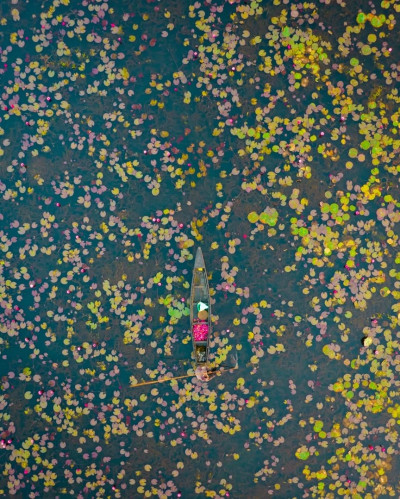 Urpad Beel Goalpara Photo