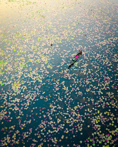 Urpad Beel Goalpara Photo