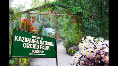 Kaziranga Orchid Park Photo
