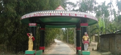 Kaziranga Orchid Park Photo
