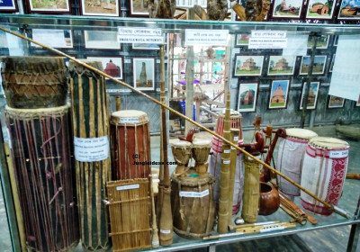 Kaziranga Orchid Park Photo