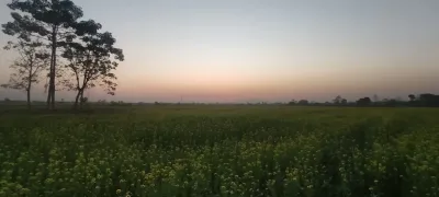 Duinoimukh Picnic Spot, Golaghat