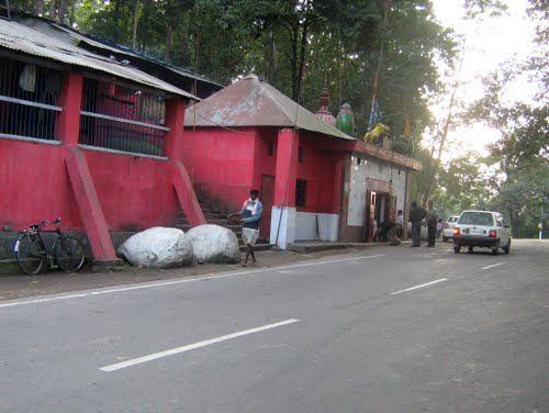 Haldibari Burhi Gosanir Than Bagori Range Kaziranga Photo