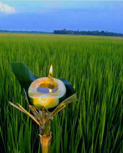 Kati Bihu (kongali Bihu) - The Festival Of Light, Hope, And Simplicity In Assam
