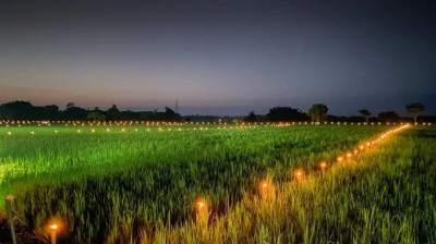 Kati Bihu (kongali Bihu) - The Festival Of Light, Hope, And Simplicity In Assam