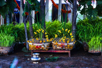 Karam Puja Photo