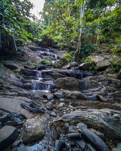 Kakoijana Reserved Forest, Bongaigaon Photo