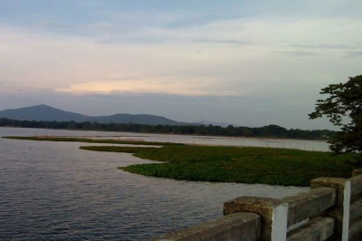 Tamranga Lake or Tamranga beel, Bongaigaon Photo