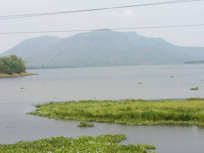 Tamranga Lake or Tamranga beel, Bongaigaon Photo