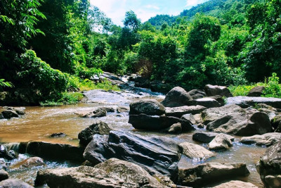 Hohua Picnic Spot, Goalpara Photo