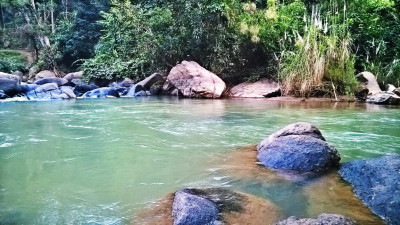 Topatoli Picnic Spot, Jagiroad Photo