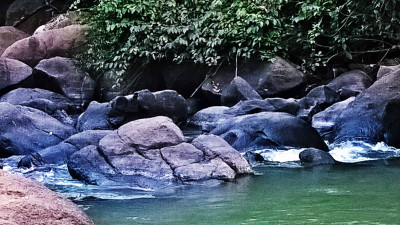 Topatoli Picnic Spot, Jagiroad Photo
