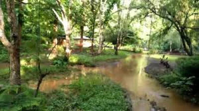 Nazirakhat Picnic Place, Sonapur Photo