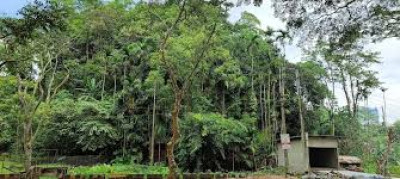 Nazirakhat Picnic Place, Sonapur Photo